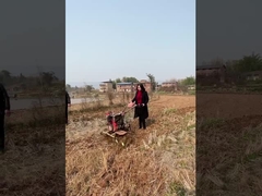 WAF DENY (Your access is blocked by firewall, please contact customer service.)(14/Feb/2023:19:50:33 +0800 client ip:119.254.30.216,server_ip:103.219.34.22)